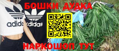 не бодяженный Сланцы