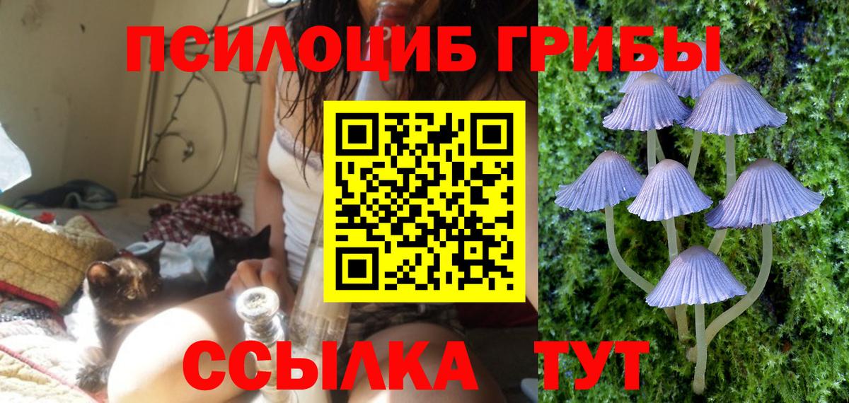 Галлюциногенные грибы ЛСД Михайловка
